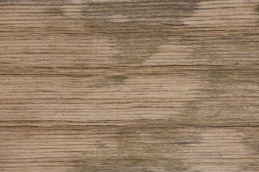 Classic Cabinets texture